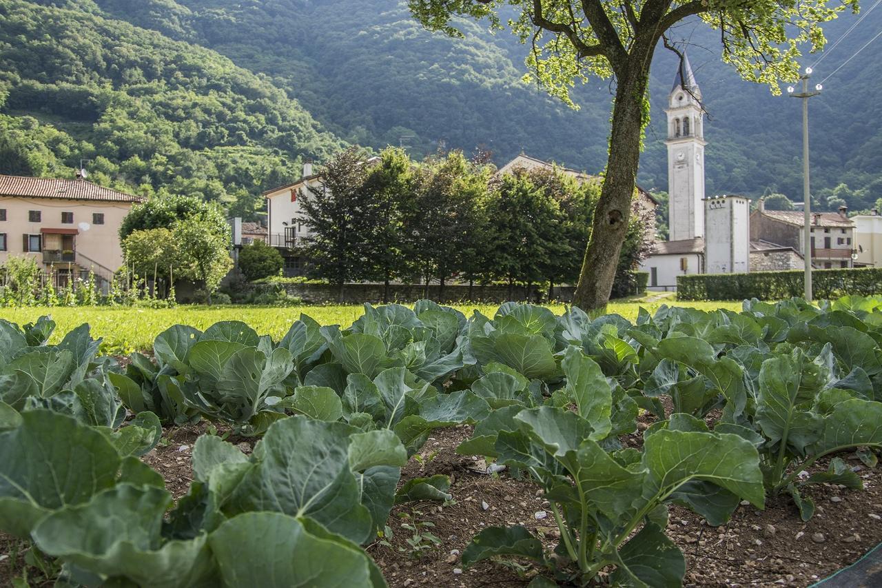 Locanda Solagna Quero Dış mekan fotoğraf